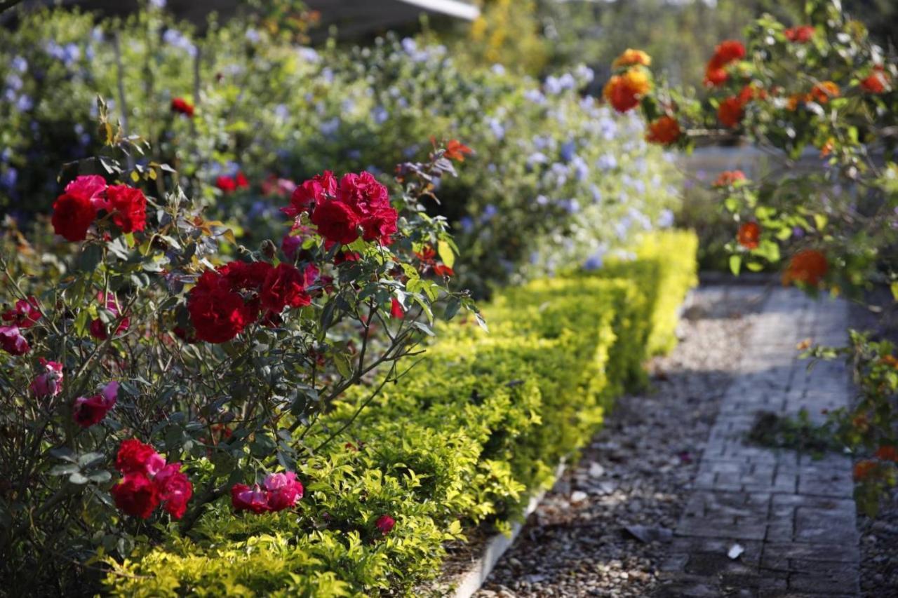 Bed and Breakfast Le Jardin De Maejo Чиангмай Экстерьер фото